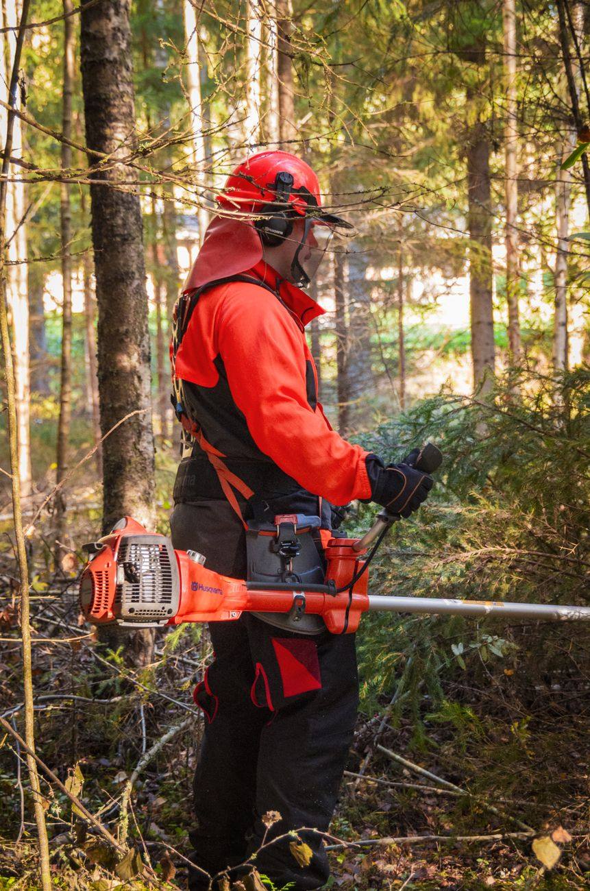 Brush clearing along a Ware County woods line